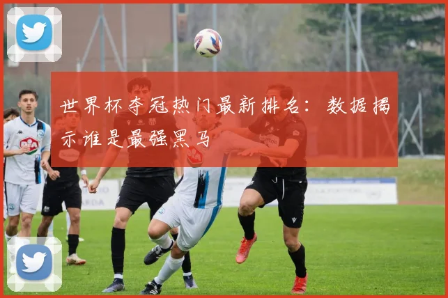 世界杯夺冠热门最新排名：数据揭示谁是最强黑马