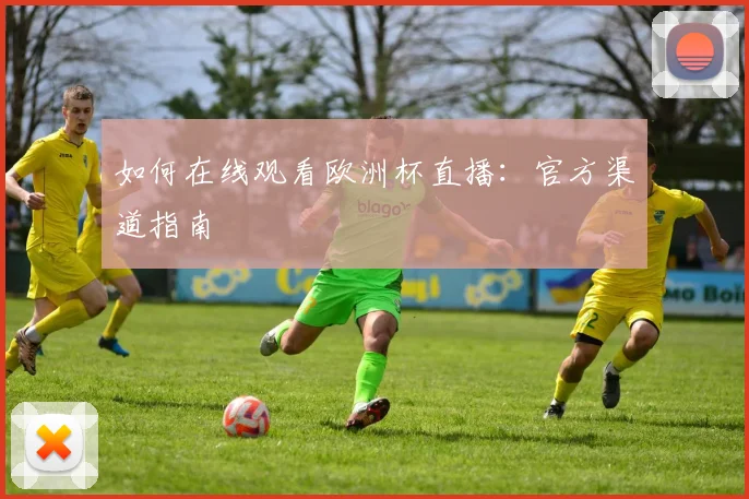 如何在线观看欧洲杯直播：官方渠道指南