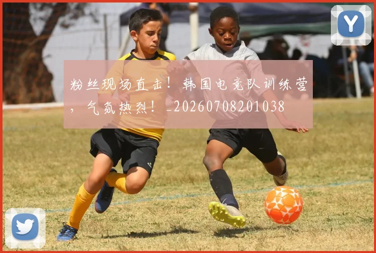 粉丝现场直击！韩国电竞队训练营，气氛热烈！_20260708201038