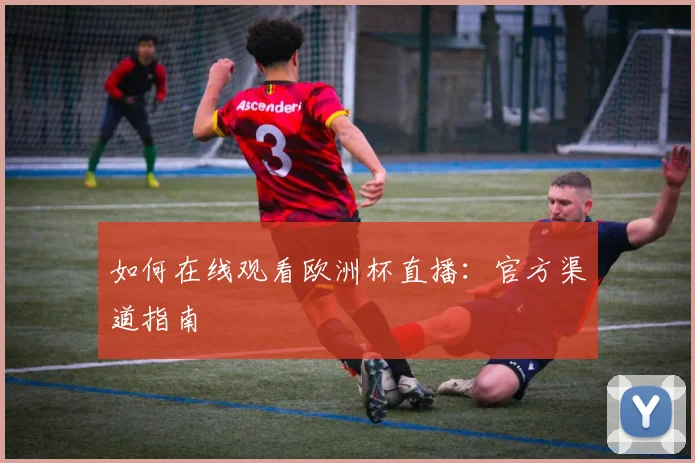 如何在线观看欧洲杯直播:官方渠道指南