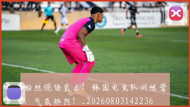 粉丝现场直击！韩国电竞队训练营，气氛热烈！_20260803142236